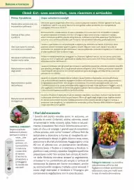 Volantino Viridea Pagina 8