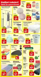 Thomas Philipps Prospekt woche 41 Seite 11: Baby Toilettensitz €4,44, Blättersieb für Dachrinnenabfluss €1,44