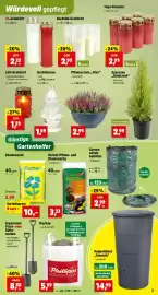 Thomas Philipps Prospekt woche 41 Seite 3: GartenFlora Herbst-Pflanz- & Blumenerde €3,33, Tage-Brenner €2,99