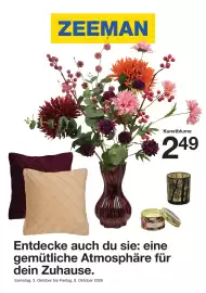Zeeman Prospekt woche 40 Seite 1: Kunstblume €2,49