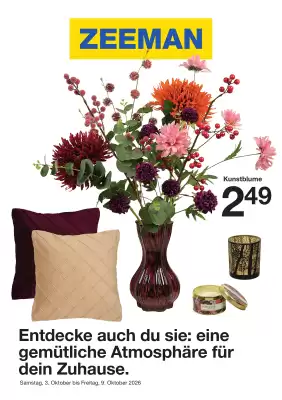 Zeeman (gültig bis 9-10)