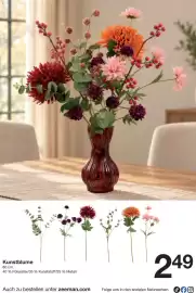 Zeeman Prospekt woche 40 Seite 2: Kunstblume €2,49