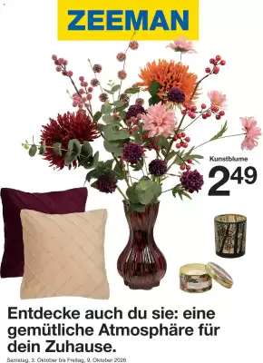 Zeeman (gültig bis 9-10)