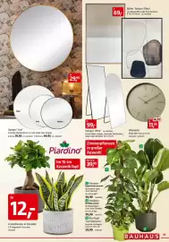 Bauhaus Prospekt Seite 29: Efeutute Epipremnum aureum €39,99, Spiegel 'Levi' €29,95