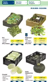 METRO Prospekt woche 41 Seite 10: Kürbis Hokkaido Grün €2,51, Chinakohl €1,34