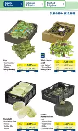 METRO Prospekt | Non-Food Seite 37: Kürbis Hokkaido Grün €2,51, Chinakohl €1,34