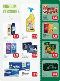Feneberg Prospekt woche 41 Seite 11: Felix Katzenahrung €3,99, After Eight Dark chocolate MINT €1,99