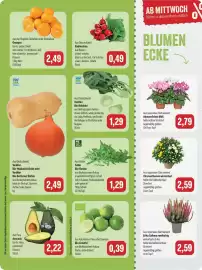 Feneberg Prospekt woche 41 Seite 7: Bio-Limette* €0,39, Avocado €2,22