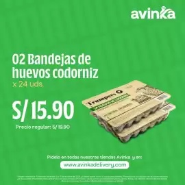 Catálogo Avinka Página 14
