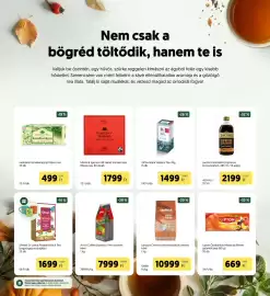 Kifli.hu akciós újság Oldal 24