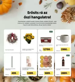 Kifli.hu akciós újság Oldal 41