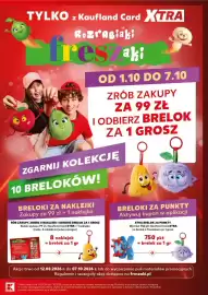 Kaufland gazetka Strona 13