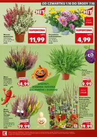 Kaufland gazetka Strona 7