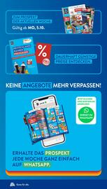 Aldi Süd Prospekt woche 43 Seite 50