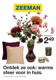 Zeeman folder week 40 Pagina 1: Kunstbloem €2,49