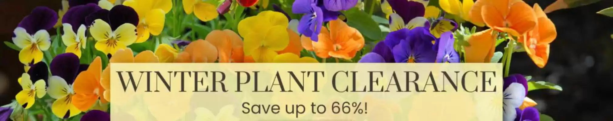Dobbies (valid until 21-10)