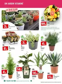 Catalogue Gamm vert page 2: Yucca tete €14,99, Agrume conteneur €99,99