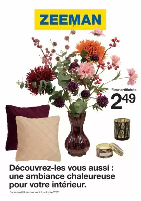 Zeeman (valable jusqu'au 9-10)