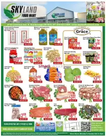 Skyland Foodmart flyer week 40 Page 1