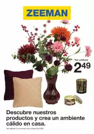 Catálogo Zeeman semana 40 Página 1: Flor - artificial €2,49