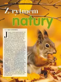 Dbam o Zdrowie gazetka Strona 8