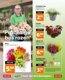 Poiesz folder week 41 Pagina 36: Rozen €5,50, Cyclaam €6,00
