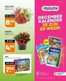 Poiesz folder week 41 Pagina 37: Gaultheria €4,50, Calluna schaal €8,50