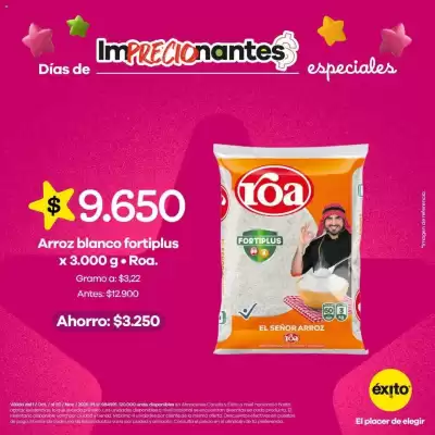 Catálogo Éxito (válido hasta 30-11)
