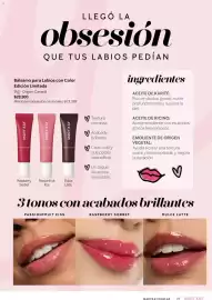 Catálogo Mary Kay Página 29