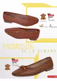 Catálogo Cklass Página 209