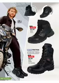 Catálogo Cklass Página 246