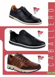 Catálogo Cklass Página 251