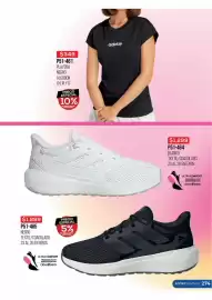 Catálogo Cklass Página 275