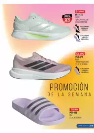 Catálogo Cklass Página 279