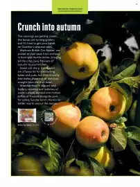 Waitrose catalogue Page 16
