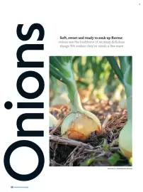 Waitrose catalogue Page 44