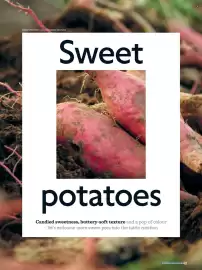 Waitrose catalogue Page 49