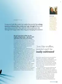 Waitrose catalogue Page 61