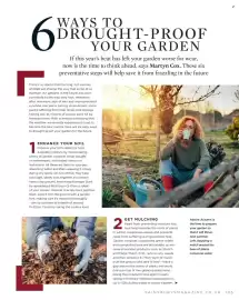 Sainsbury's leaflet Page 105