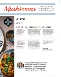 Sainsbury's leaflet Page 27