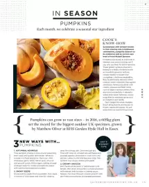 Sainsbury's leaflet Page 33
