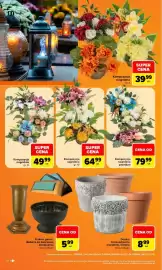 Carrefour gazetka Strona 10: Kompozycja nagrobna gr. III €49,99, Kompozycja nagrobna gr. II €39,99