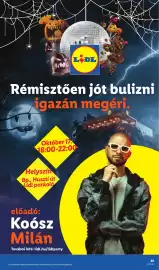 Lidl akciós újság hét 41 Oldal 35