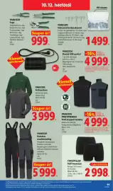 Lidl akciós újság hét 41 Oldal 65: Caterpillar férfi boxeralsó €2.998,00, Parkside kantáros munkásnadrág €5.999,00
