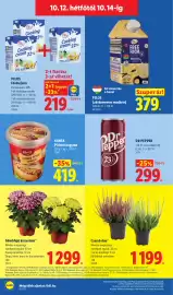 Lidl akciós újság hét 41 Oldal 70: Kania pirított hagyma €419,00, Dr pepper €299,00