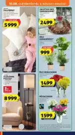 ALDI akciós újság hét 41 Oldal 6