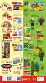 Jawoll Prospekt woche 41 Seite 12: Hochwertige Feuerschale €59,99, Anzündwürfel €0,99