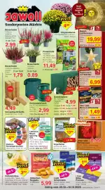 Jawoll Prospekt woche 41 Seite 1: Damen-Norwegersocken €4,99, Getrocknete Mehlwürmer €13,99