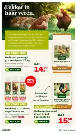 Welkoop folder Pagina 13: Welkoop gemengd graan kippen €14,50, Welkoop gemengd graan krielkippen €15,50