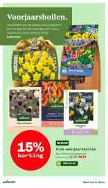 Welkoop folder Pagina 37: Alle voorjaarsbollen €12,71, Welkoop krokussen mix €3,99